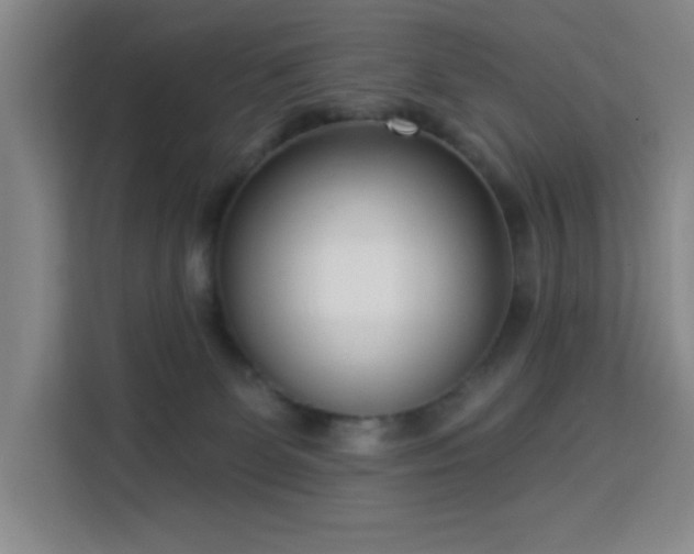 X0000113740131200909301019