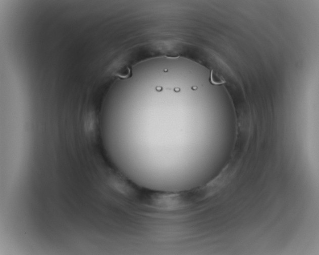 X0000113740132200909301019