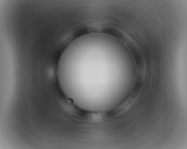 X0000113740134200909301019