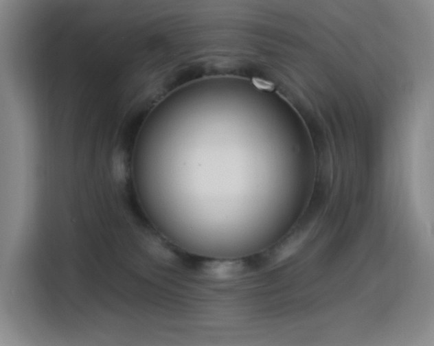 X0000113740135200909301019