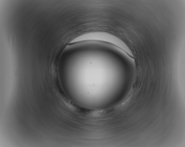 X0000113740136200909301019