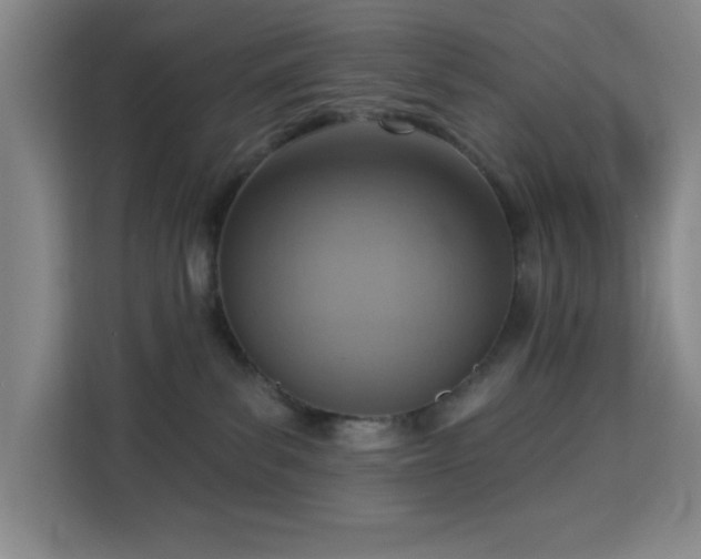 X0000113740139200909301019