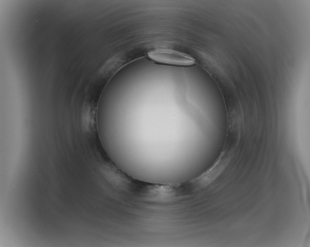 X0000113740140200909301019