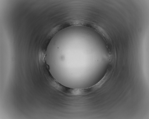 X0000113740142200909301019