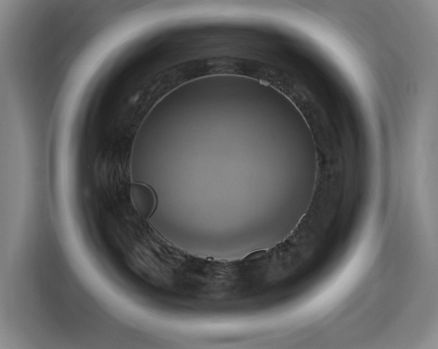 X0000113740143200909301019