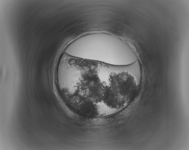 X0000113740145200909301018