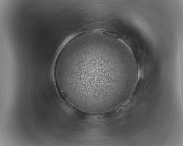 X0000113740147200909301018