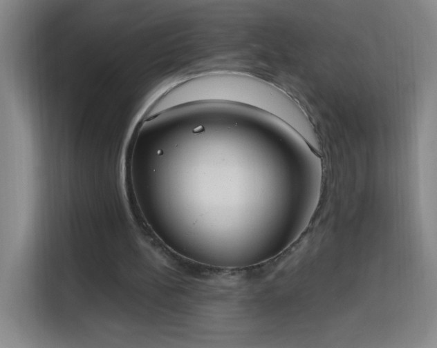 X0000113740148200909301018