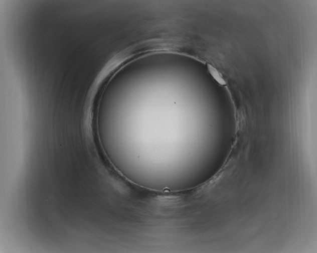 X0000113740150200909301018