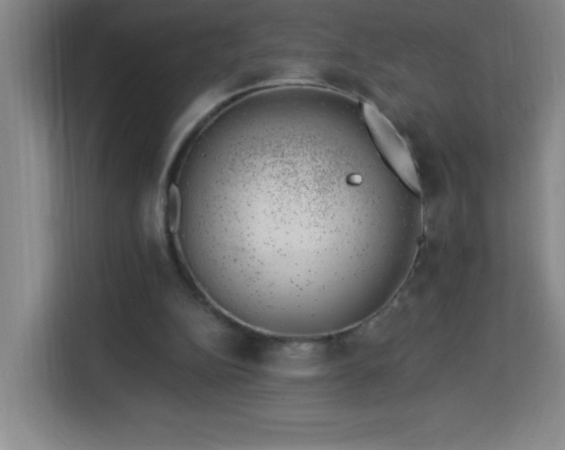 X0000113740152200909301018