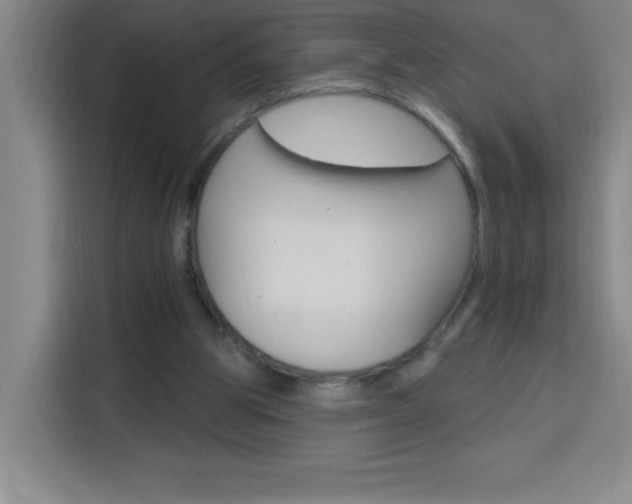 X0000113740153200909301018