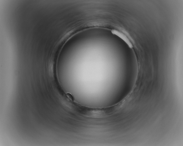 X0000113740154200909301018