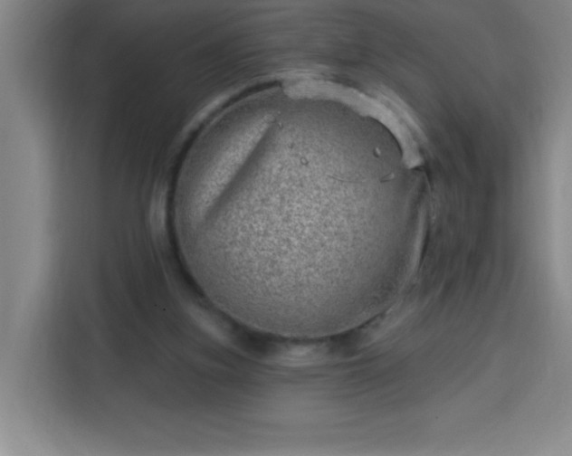 X0000113740155200909301018