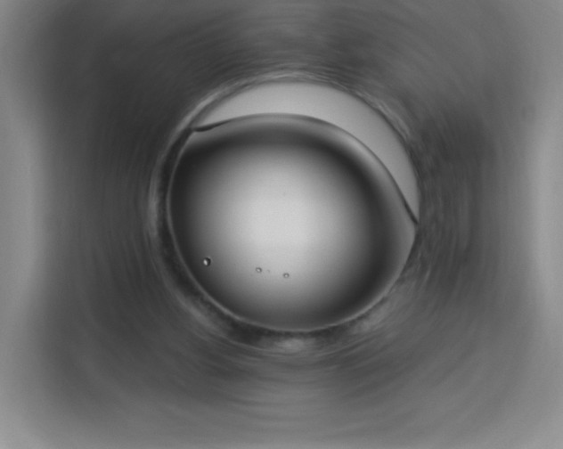 X0000113740156200909301018