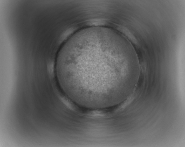 X0000113740159200909301018