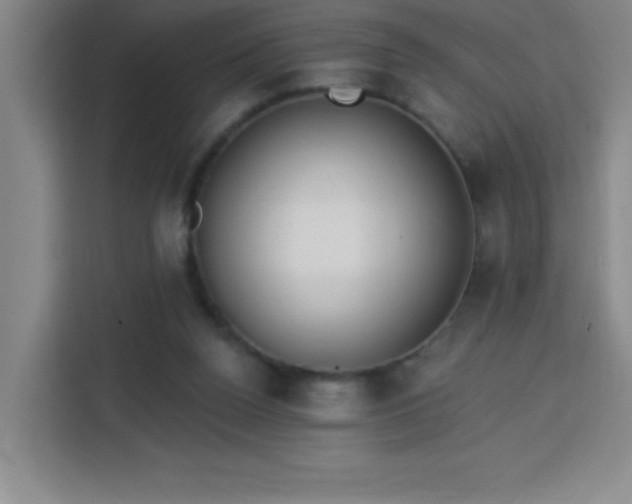 X0000113740160200909301018