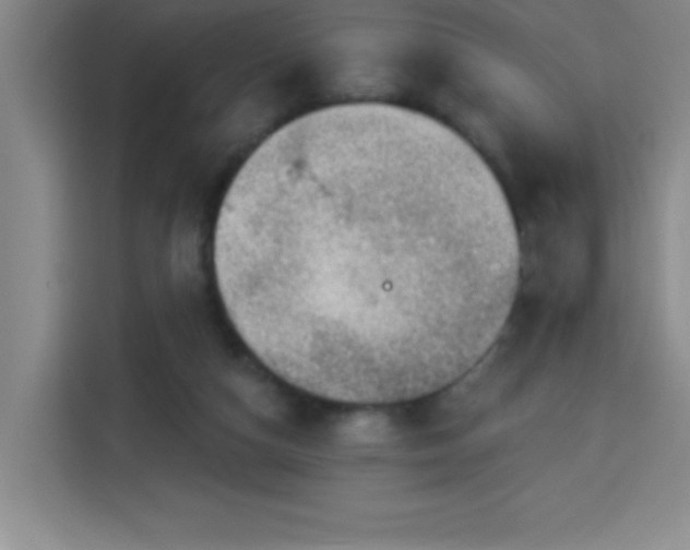 X0000113740162200909301018