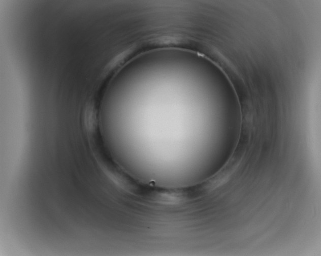 X0000113740164200909301018