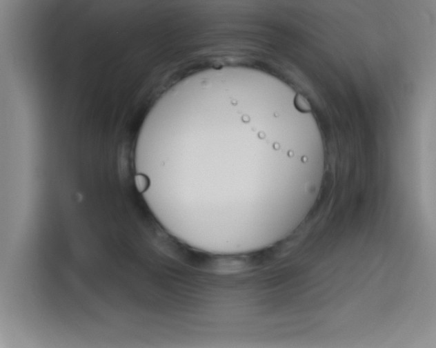 X0000113740169200909301019