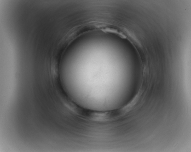 X0000113740170200909301019