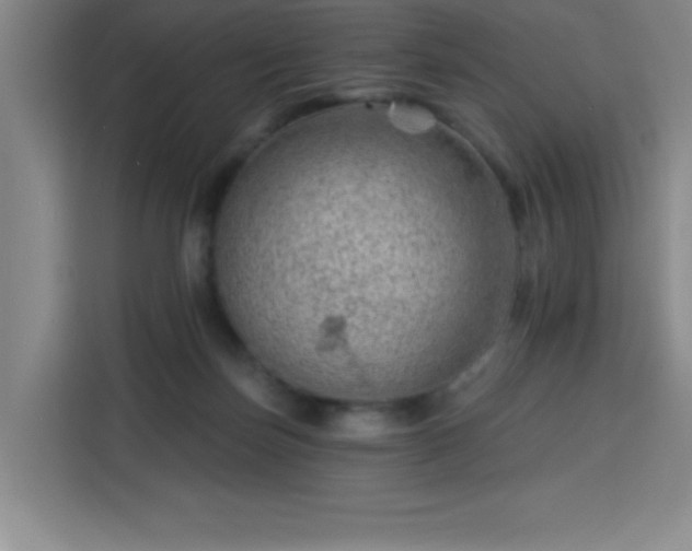 X0000113740171200909301019