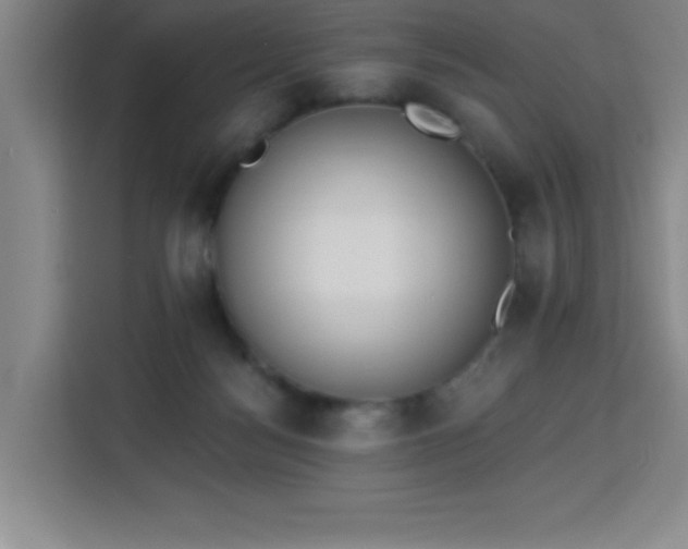 X0000113740172200909301019