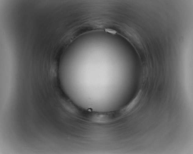 X0000113740174200909301019