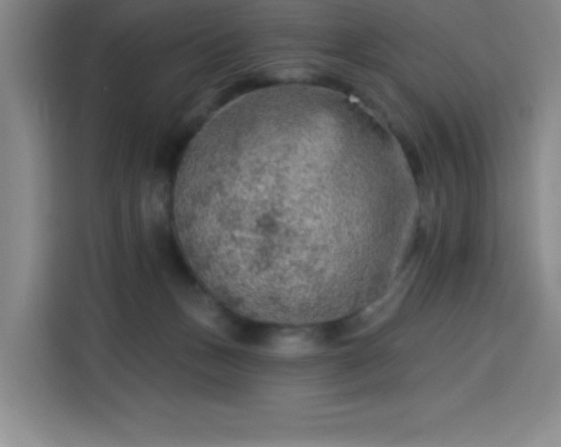 X0000113740175200909301019