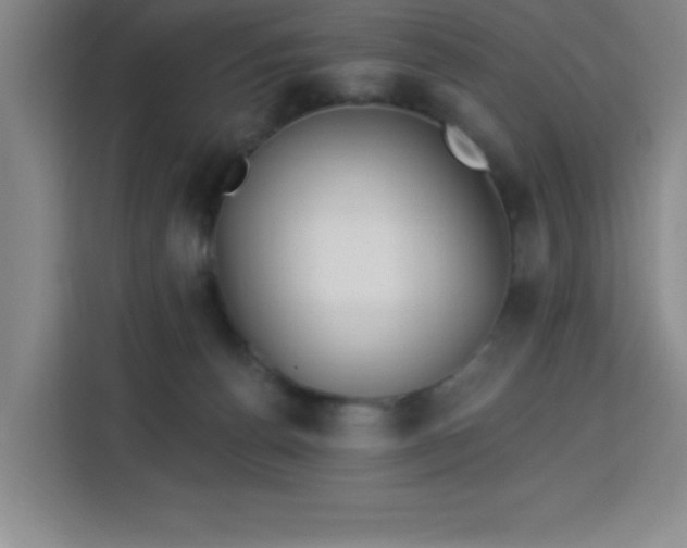 X0000113740176200909301019