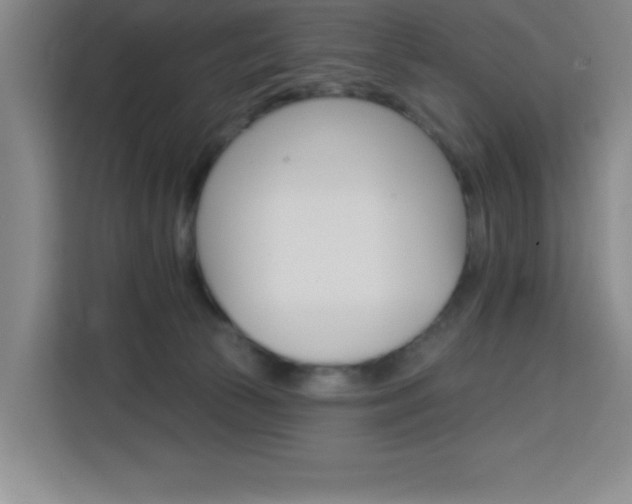 X0000113740177200909301019