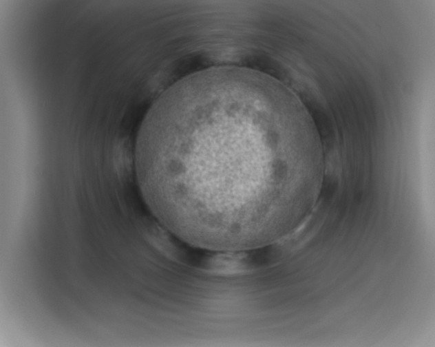 X0000113740179200909301019