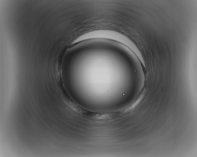 X0000113740186200909301019