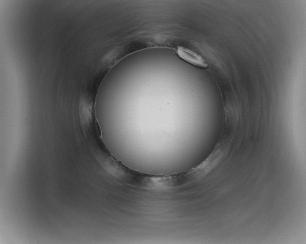 X0000113740188200909301019