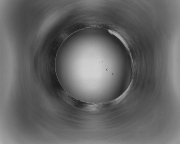 X0000113740190200909301019