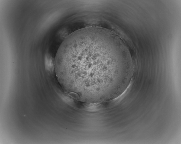 X0000113740191200909301019