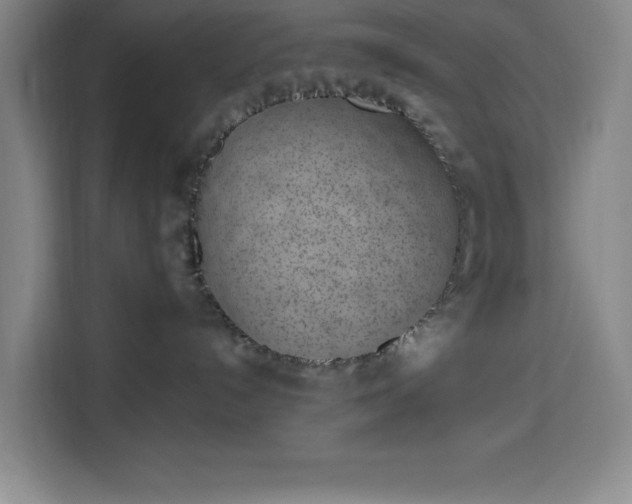 X0000113740192200909301019