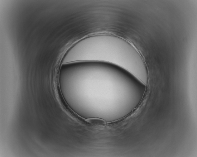 X0000113740193200909301018