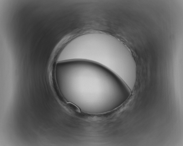 X0000113740197200909301018