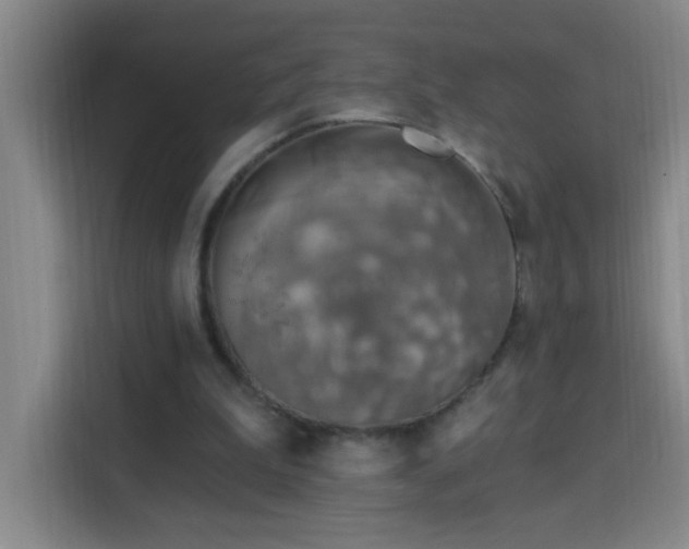 X0000113740199200909301018