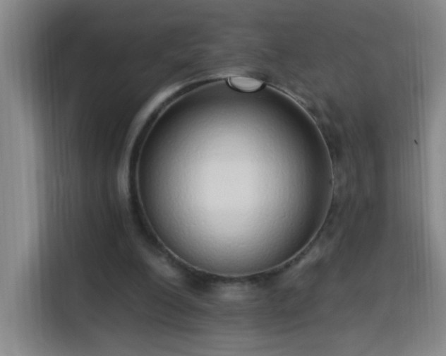 X0000113740200200909301018