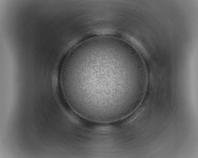 X0000113740202200909301018