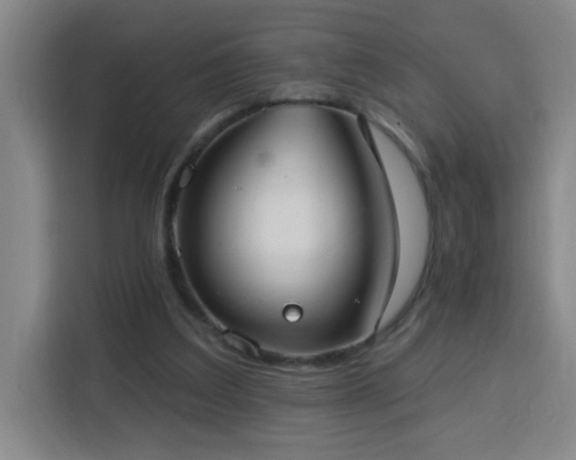 X0000113740203200909301018