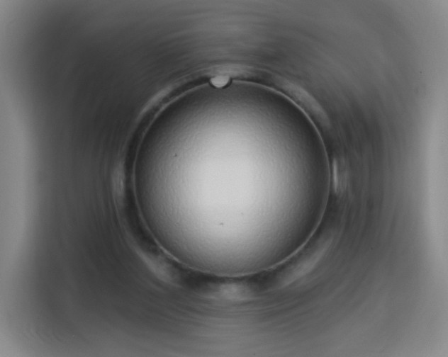 X0000113740204200909301018