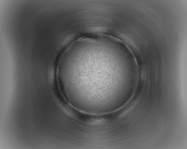 X0000113740206200909301018