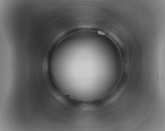 X0000113740207200909301018