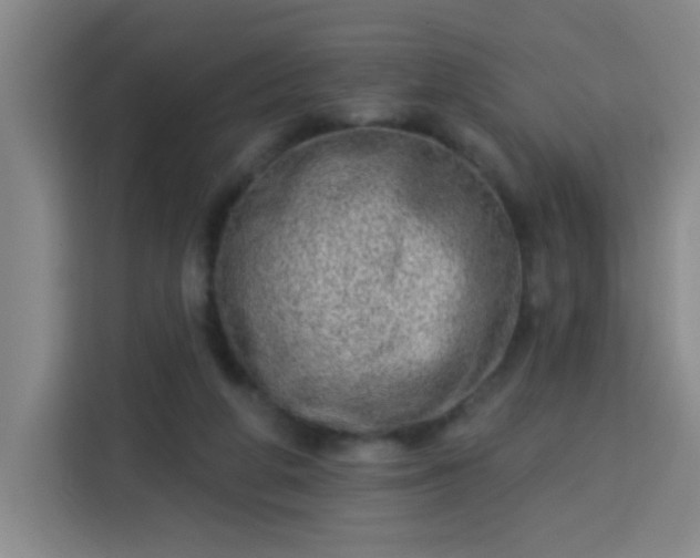 X0000113740210200909301018