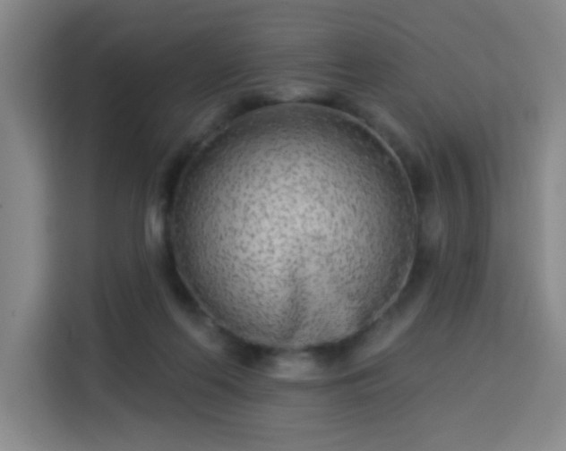 X0000113740214200909301018