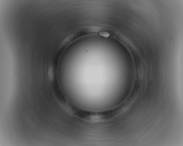 X0000113740216200909301018