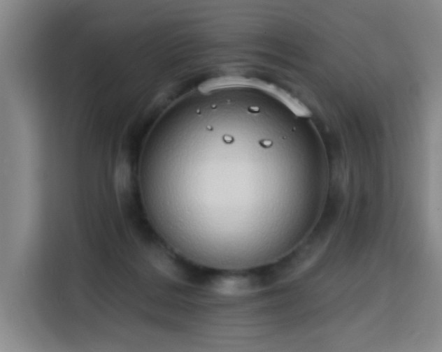 X0000113740220200909301018