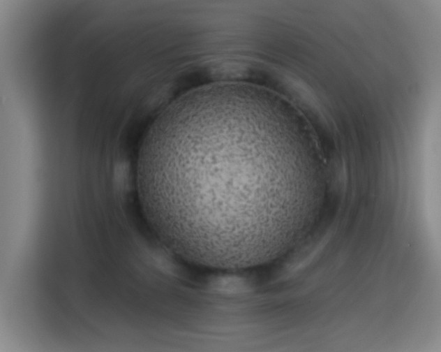 X0000113740224200909301018